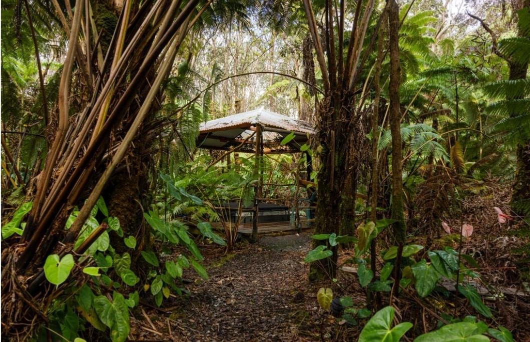 Villa Halema'Uma'U- Hale Kumu La'Au Volcano Exterior foto
